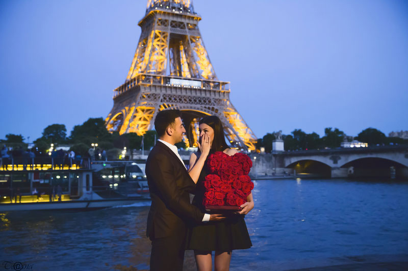 Proposal in Paris